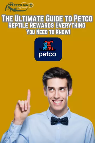 The Ultimate Guide to Petco Reptile Rewards Everything You Need to Know!